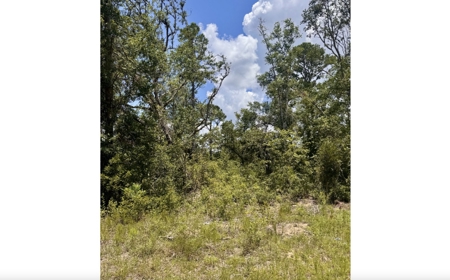 Property in Southern Oak Terrace in Jennings, FL - image 2