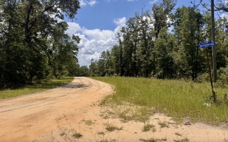 Property in Southern Oak Terrace in Jennings, FL - image 7