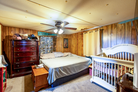 25 Acres with Country Home for Sale in Madison, Florida - image 31
