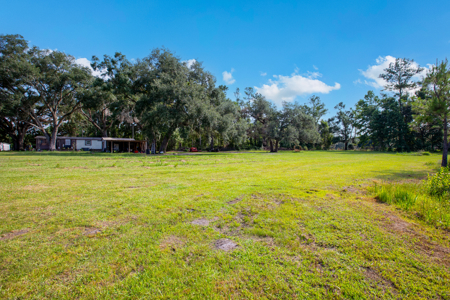 25 Acres with Country Home for Sale in Madison, Florida - image 28