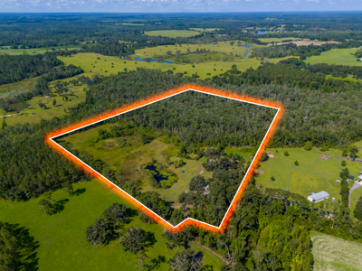 25 Acres with Country Home for Sale in Madison, Florida - image 10