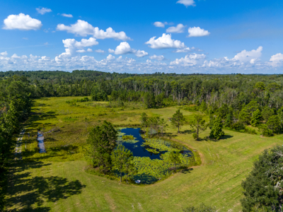 25 Acres with Country Home for Sale in Madison, Florida - image 11