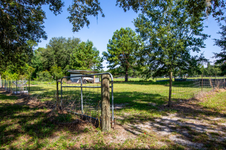 25 Acres with Country Home for Sale in Madison, Florida - image 39