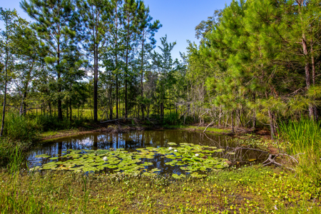25 Acres with Country Home for Sale in Madison, Florida - image 41