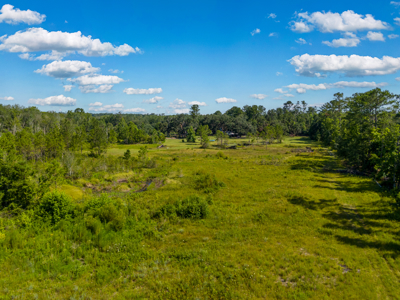 25 Acres with Country Home for Sale in Madison, Florida - image 22