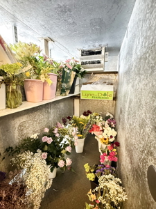 Commercial Building for Sale in El Dorado Springs, MO - image 10