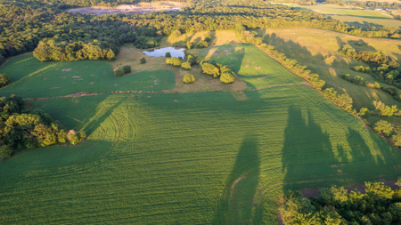 Wapello County, Iowa Online Land Auction - image 12
