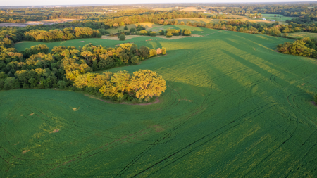 Wapello County, Iowa Online Land Auction - image 37