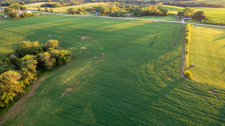 Wapello County, Iowa Online Land Auction - image 16