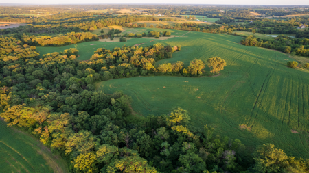 Wapello County, Iowa Online Land Auction - image 33