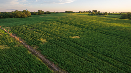 Wapello County, Iowa Online Land Auction - image 27