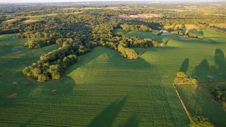 Wapello County, Iowa Online Land Auction - image 10