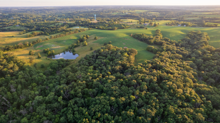 Wapello County, Iowa Online Land Auction - image 16
