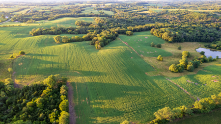 Wapello County, Iowa Online Land Auction - image 9