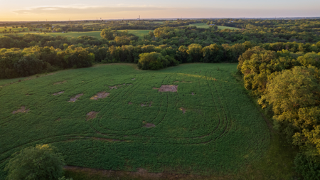 Wapello County, Iowa Online Land Auction - image 20