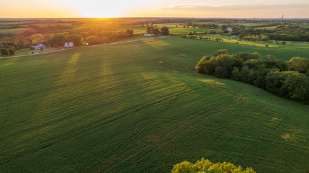 Wapello County, Iowa Online Land Auction - image 4