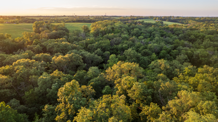 Wapello County, Iowa Online Land Auction - image 24