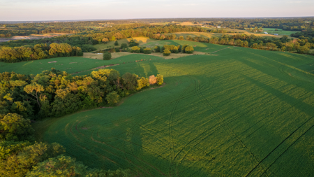 Wapello County, Iowa Online Land Auction - image 28