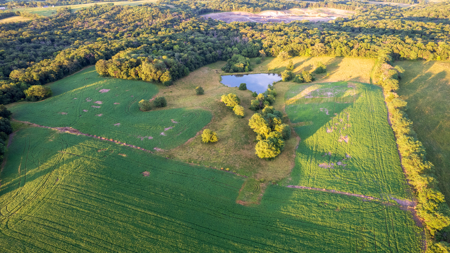Wapello County, Iowa Online Land Auction - image 7
