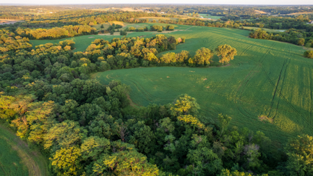 Wapello County, Iowa Online Land Auction - image 26