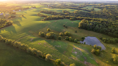 Wapello County, Iowa Online Land Auction - image 11
