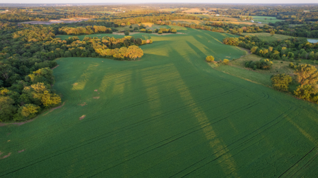 Wapello County, Iowa Online Land Auction - image 27