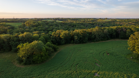 Wapello County, Iowa Online Land Auction - image 22