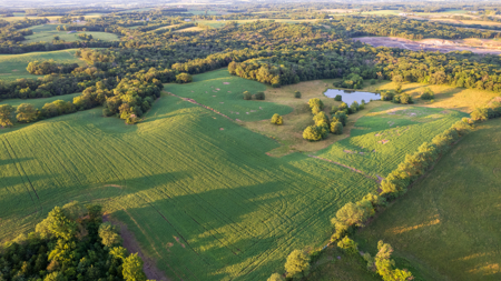 Wapello County, Iowa Online Land Auction - image 8