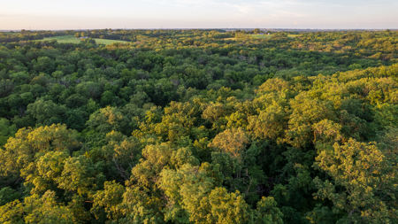 Wapello County, Iowa Online Land Auction - image 23