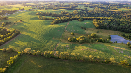 Wapello County, Iowa Online Land Auction - image 10