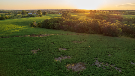 Wapello County, Iowa Online Land Auction - image 21