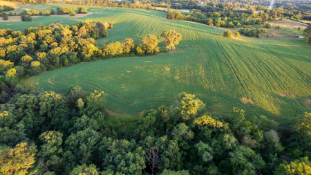 Wapello County, Iowa Online Land Auction - image 17
