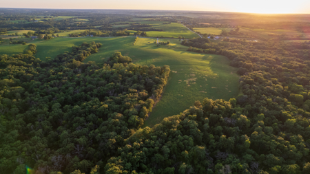 Wapello County, Iowa Online Land Auction - image 22