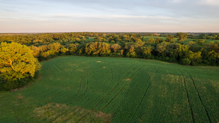 Wapello County, Iowa Online Land Auction - image 17