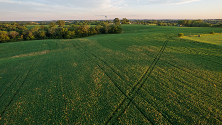 Wapello County, Iowa Online Land Auction - image 16