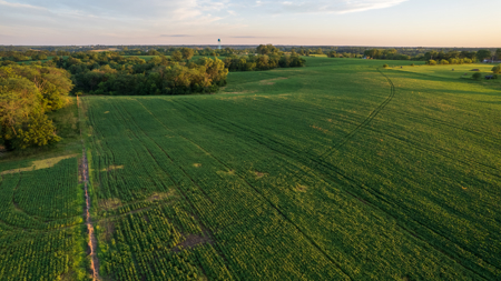 Wapello County, Iowa Online Land Auction - image 13