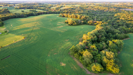 Wapello County, Iowa Online Land Auction - image 20