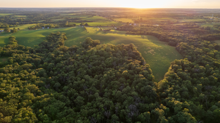Wapello County, Iowa Online Land Auction - image 2