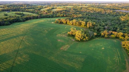 Wapello County, Iowa Online Land Auction - image 18
