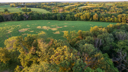 Wapello County, Iowa Online Land Auction - image 10