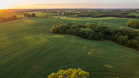 Wapello County, Iowa Online Land Auction - image 21