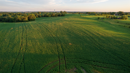 Wapello County, Iowa Online Land Auction - image 14