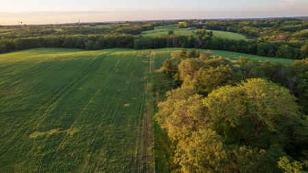 Wapello County, Iowa Online Land Auction - image 9