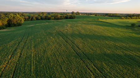 Wapello County, Iowa Online Land Auction - image 15