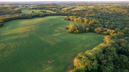 Wapello County, Iowa Online Land Auction - image 19
