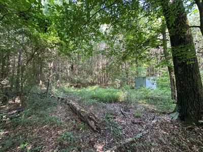 3.64+/- Acres For Sale, Hwy 70 W near Little Missouri River in AR - image 12