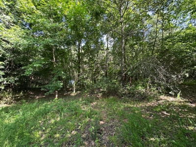 3.64+/- Acres For Sale, Hwy 70 W near Little Missouri River in AR - image 15