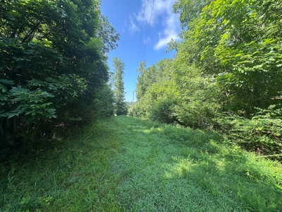 3.64+/- Acres For Sale, Hwy 70 W near Little Missouri River in AR - image 8
