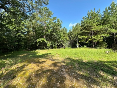 3.64+/- Acres For Sale, Hwy 70 W near Little Missouri River in AR - image 11