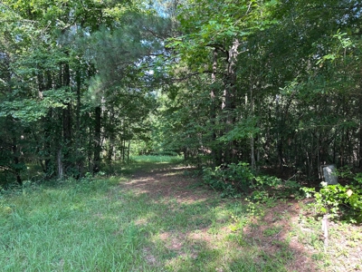 3.64+/- Acres For Sale, Hwy 70 W near Little Missouri River in AR - image 10